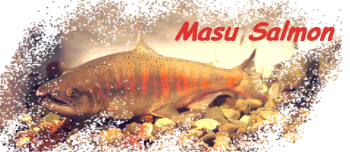 Title of Home Page on Masu Salmon