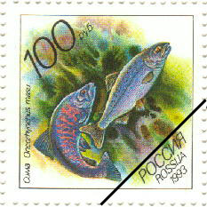 stamp-3
